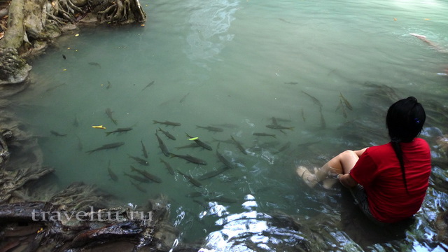 Водопад Эраван. Таиланд. Девушка с рыбками в водопаде